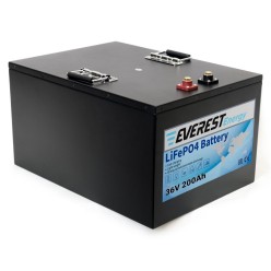 Тяговый литиевый аккумулятор EVEREST LFP-36В 200Ач