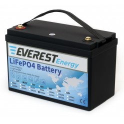 Тяговый литиевый аккумулятор EVEREST LFP-24V300Аh