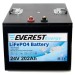 Тяговый литиевый аккумулятор EVEREST LFP-24V202Аh