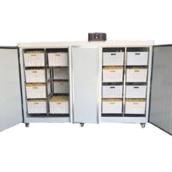 Проращиватель семян, бобов, злаков BSC-500A Foodatlas Проращиватель семян, бобов, злаков BSC-500A Foodatlas