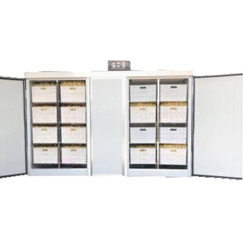 Проращиватель семян, бобов, злаков BSC-200A Foodatlas Проращиватель семян, бобов, злаков BSC-200A Foodatlas