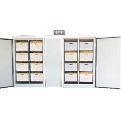 Проращиватель семян, бобов, злаков BSC-200A Foodatlas Проращиватель семян, бобов, злаков BSC-200A Foodatlas