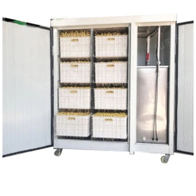 Проращиватель семян, бобов, злаков BSC-150A Foodatlas Проращиватель семян, бобов, злаков BSC-150A Foodatlas