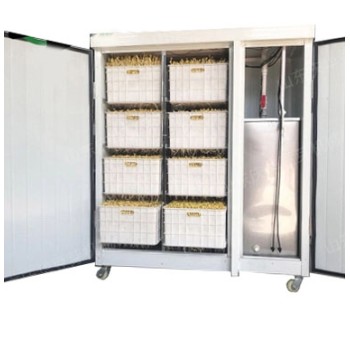 Проращиватель семян, бобов, злаков BSC-100A Foodatlas Проращиватель семян, бобов, злаков BSC-100A Foodatlas