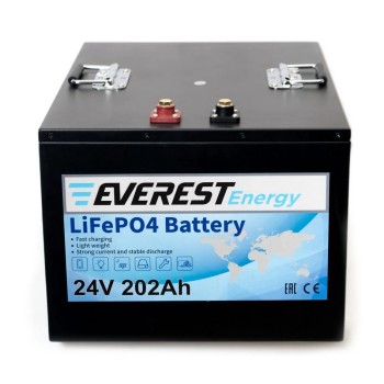Литий-железо-фосфатный аккумулятор Everest Energy LFP-24V202А