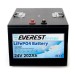 Литий-железо-фосфатный аккумулятор Everest Energy LFP-24V202А