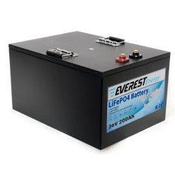 Литий-железо-фосфатный аккумулятор Everest Energy LFP-36V200А