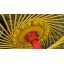 Грабли-ворошилки HARVEST SWR 13 Грабли-ворошилки HARVEST SWR 13