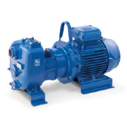 Самовсасывающий насос Varisco JE 2-215 G10 NT20 Самовсасывающий насос Varisco JE 2-215 G10 NT20