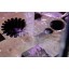 MetalTec DK 7745FМ Электроэрозионный многопроходной проволочно-вырезной станок MetalTec DK 7745FМ Электроэрозионный многопроходной проволочно-вырезной станок