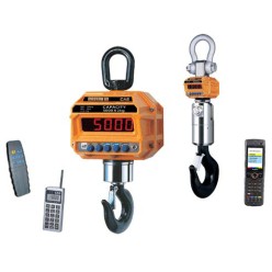 Весы крановые 2 THD TWN